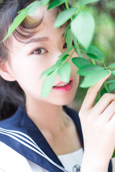 凯蒂夫人在线播放